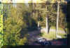 Untitled3.jpg (474925 byte)